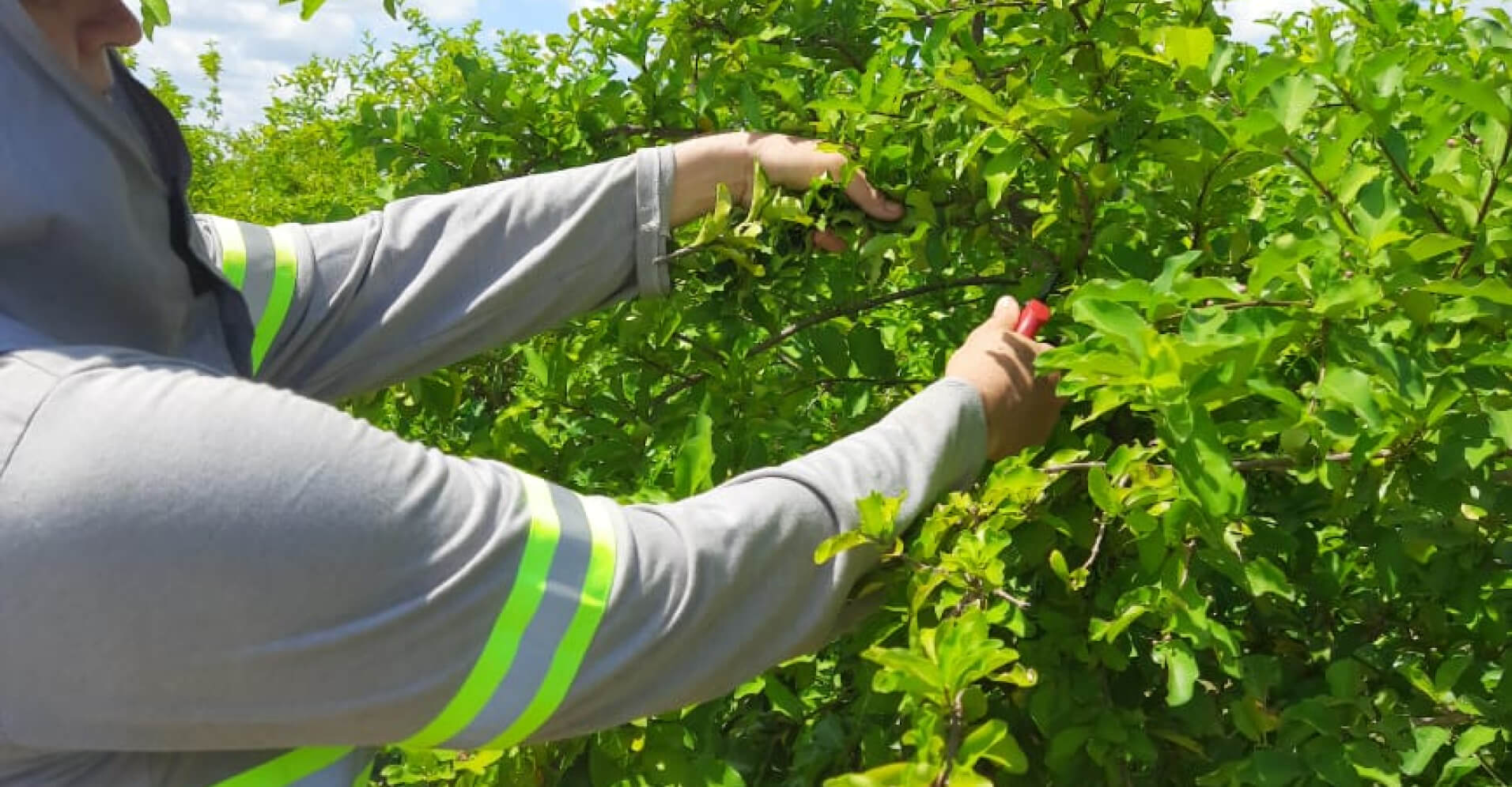 Bella Terra Alimentos